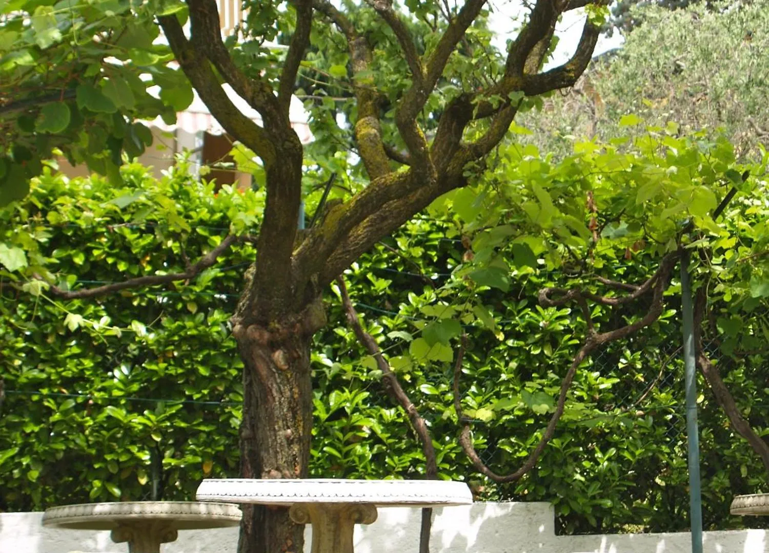 Frühstückspension B&B La Maison degli Angeli Desenzano del Garda